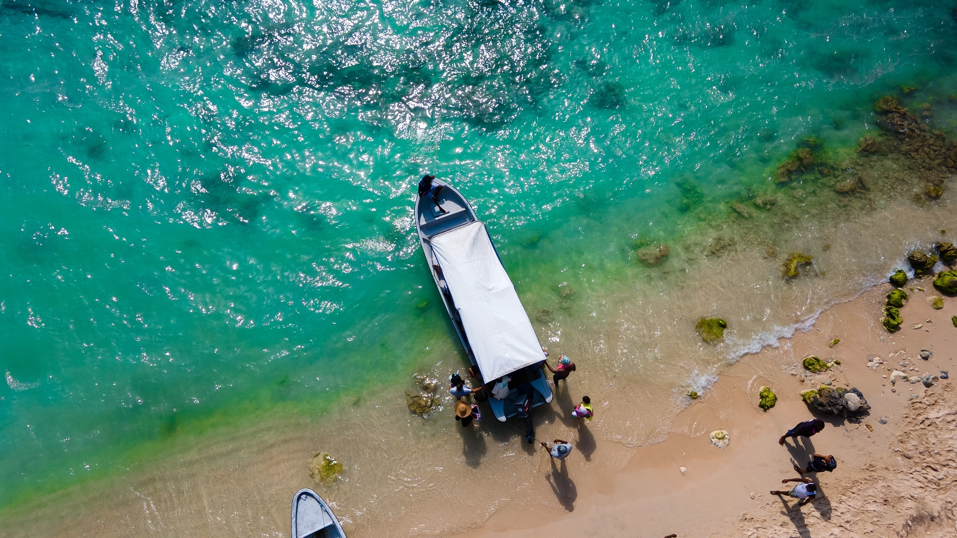 Oceanario + Islas del Rosario + Baru - Image 2
