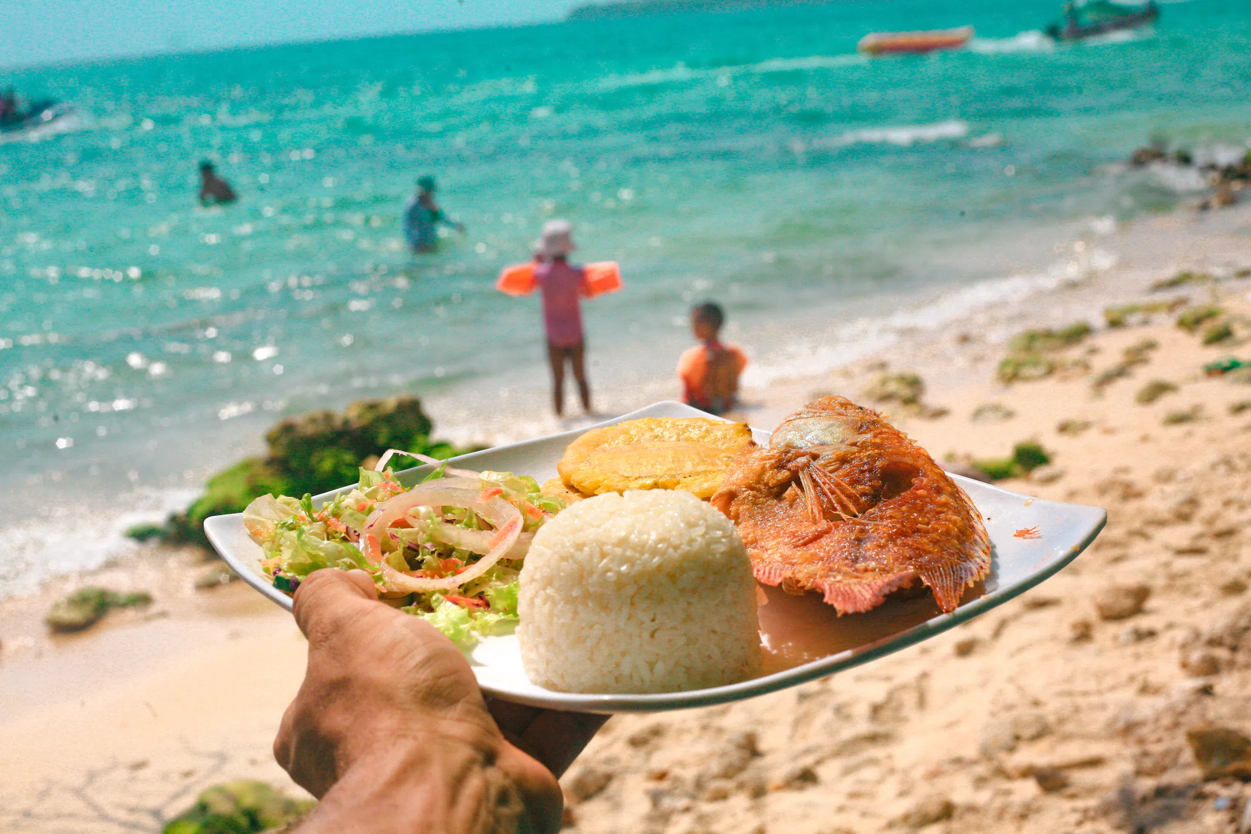 Oceanario + Islas del Rosario + Baru - Image 4