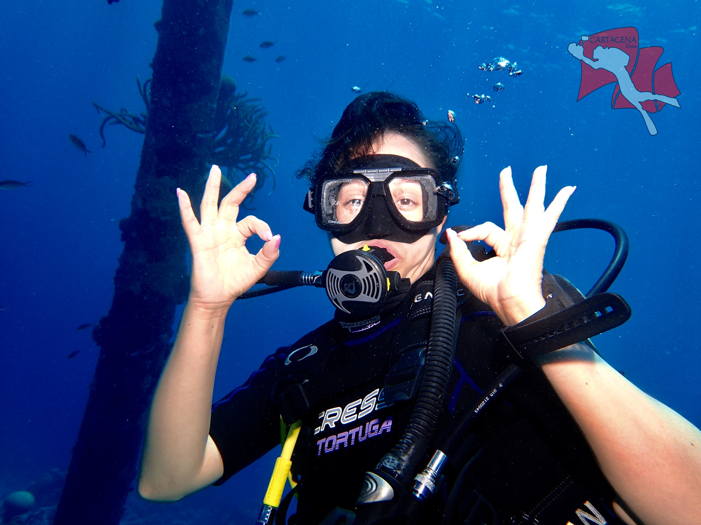 Buceo Profesional - Image 2