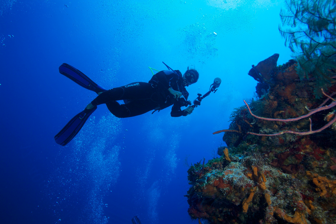 Buceo Profesional - Image 5