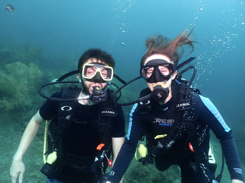 Buceo Profesional - Image 6