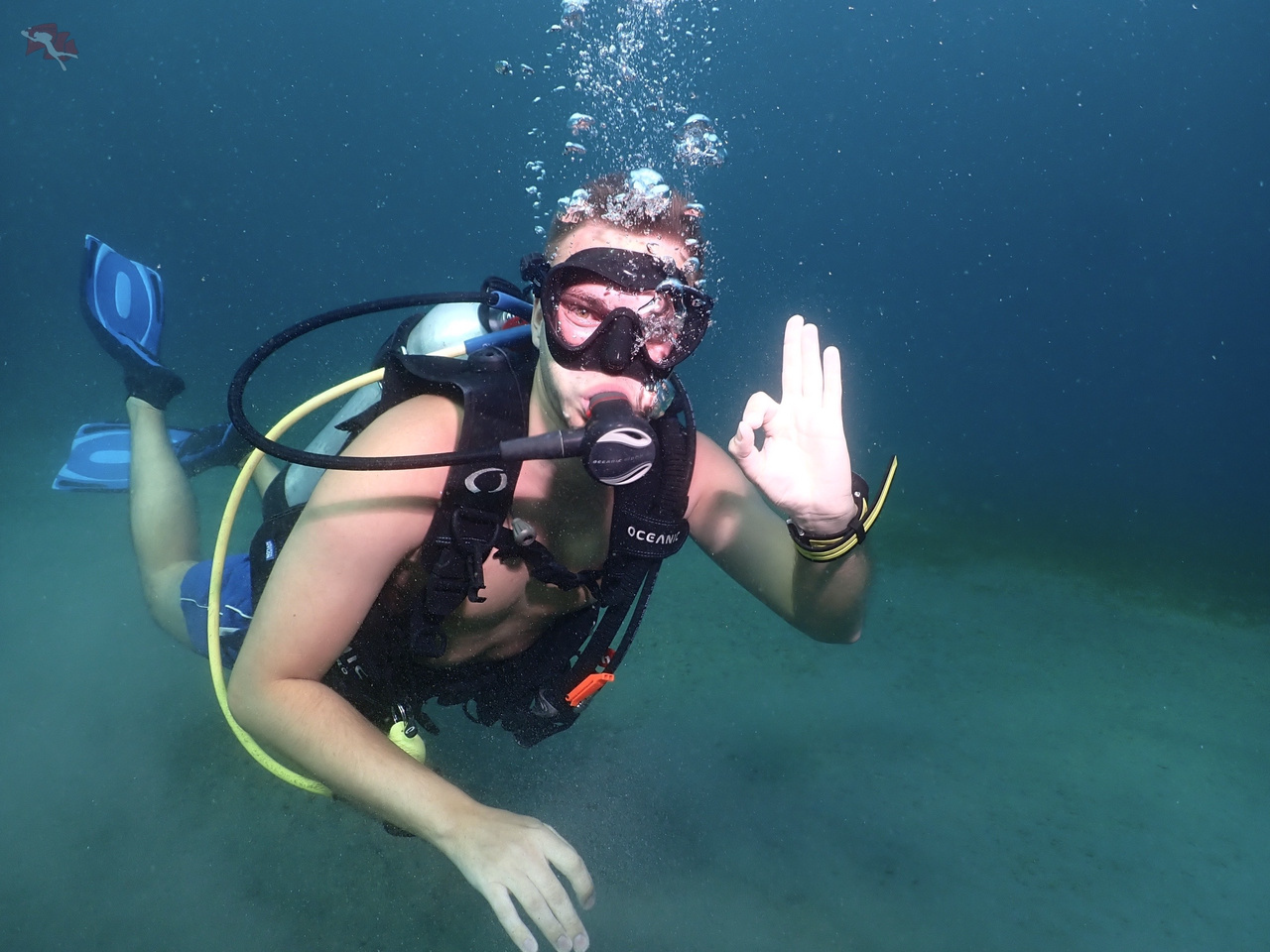 Buceo Profesional - Image 7