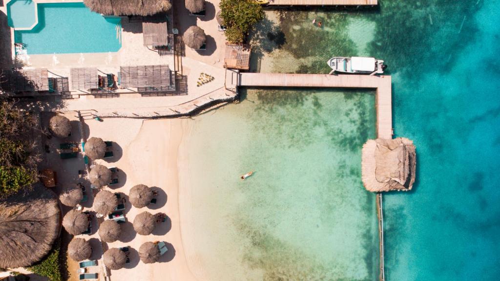 Isla del Sol - Image 7